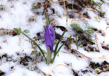 Similar image 22113313