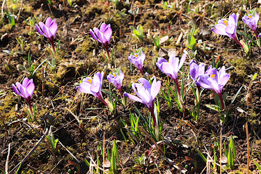 Similar image 22113314