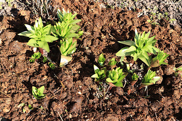 Similar image 22113317