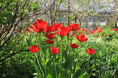 Similar image 22113319