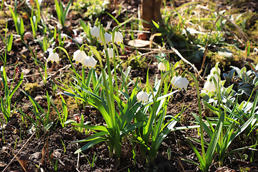 Similar image 22113320