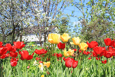 Similar image 22113321