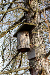 Similar image 22114560