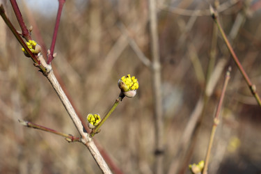 Similar image 22114561