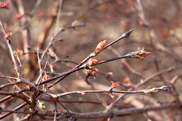 Similar image 22114562