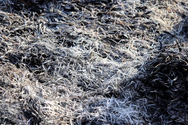 Similar image 22114563