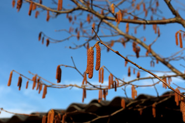 Similar image 22114565