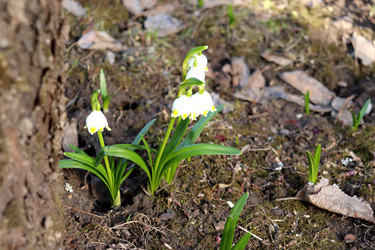 Similar image 22114566