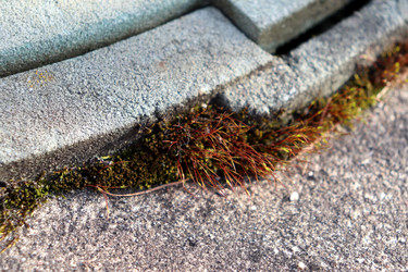 Similar image 22114568