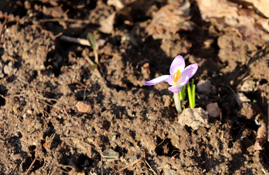 Similar image 22114569