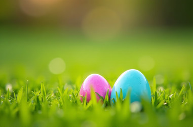 Similar image 22122874