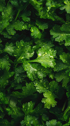 Similar image 22113673