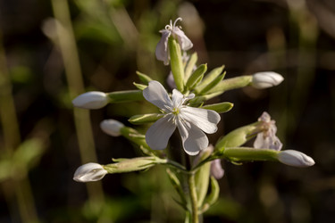 Similar image 22119494