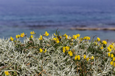 Similar image 22119497