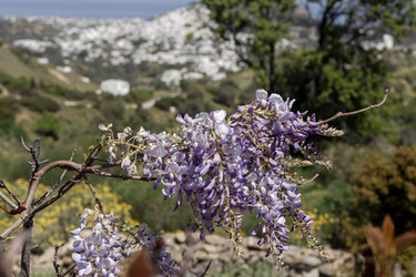 Similar image 22119498