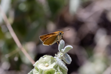 Similar image 22119499