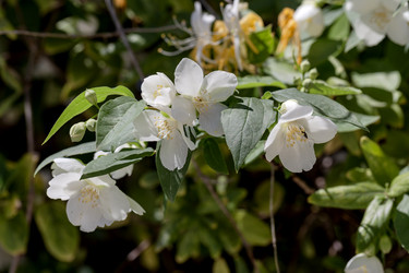 Similar image 22119500