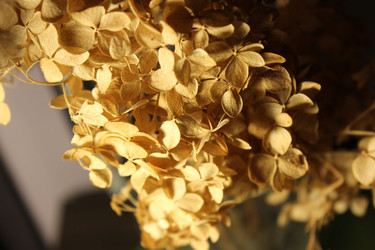 Similar image 22116763