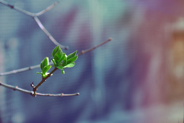 Similar image 22114875