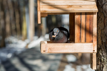 Similar image 22126049