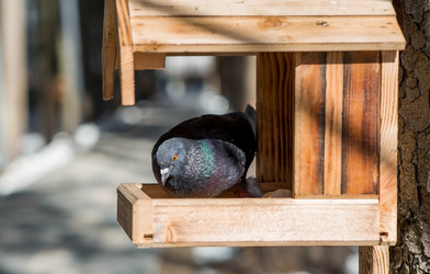 Similar image 22126050