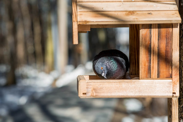 Similar image 22126051