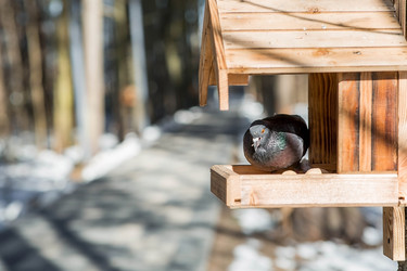 Similar image 22126052