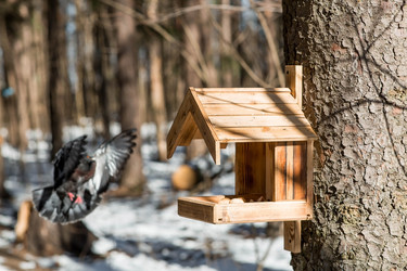 Similar image 22126053