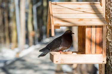 Similar image 22126054