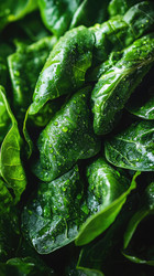 Similar image 22114783