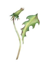 Similar image 22119480