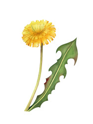 Similar image 22119504