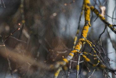 Similar image 22125921