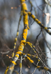 Similar image 22125922