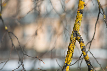 Similar image 22125923