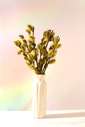 Similar image 22116969