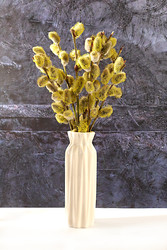 Similar image 22116972