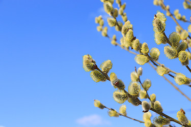 Similar image 22116977