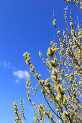 Similar image 22116978