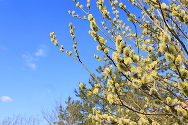 Similar image 22116983