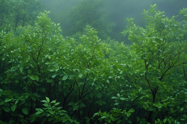 Similar image 22117016