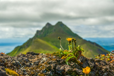 Similar image 22116914