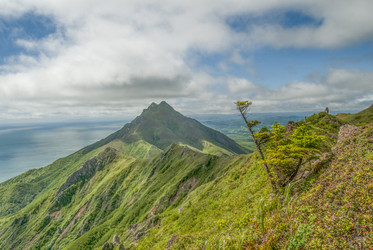 Similar image 22117018