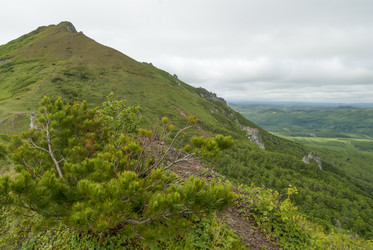 Similar image 22117021