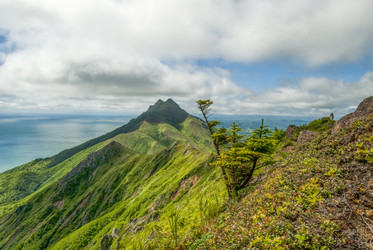 Similar image 22117023