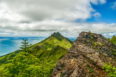 Similar image 22117032