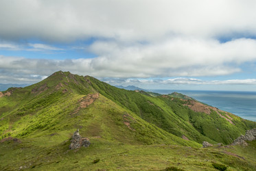 Similar image 22117051