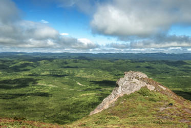 Similar image 22117135