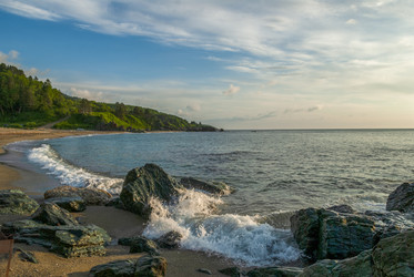 Similar image 22117136