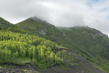 Similar image 22117152